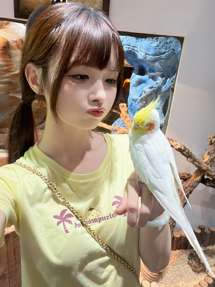 疯狂的石头